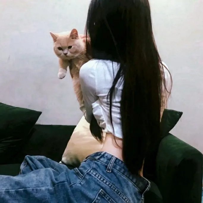 家裂 第三季