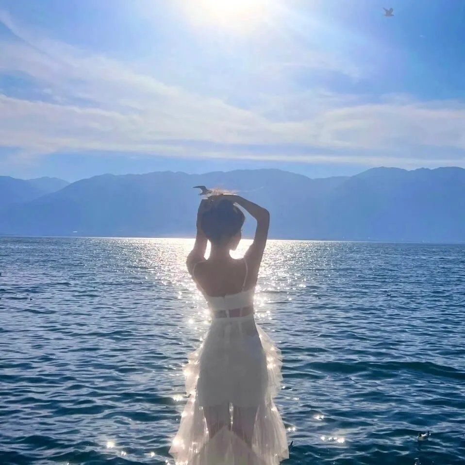 七彩狗